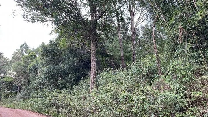 Country home for sale of 6 acres in Santo Antônio da Patrulha, RS, Brazil