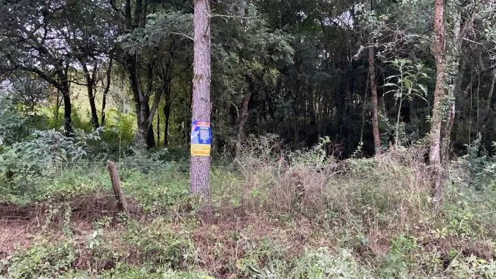 Country home for sale of 6 acres in Santo Antônio da Patrulha, RS, Brazil