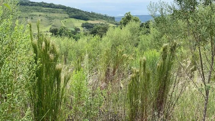 Country home for sale of 6 acres in Santo Antônio da Patrulha, RS, Brazil