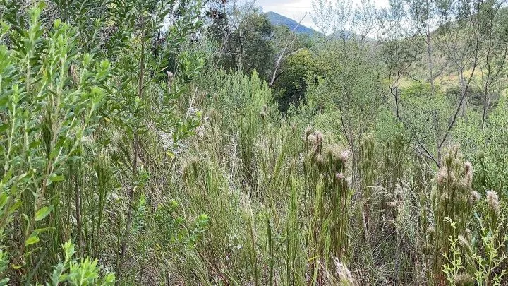 Country home for sale of 6 acres in Santo Antônio da Patrulha, RS, Brazil