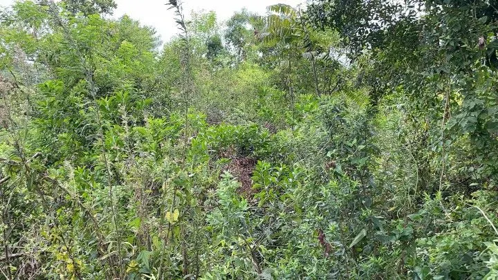Country home for sale of 6 acres in Santo Antônio da Patrulha, RS, Brazil
