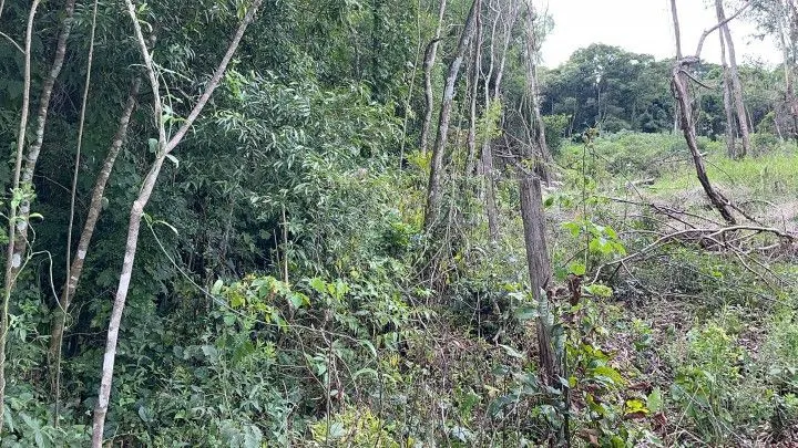 Country home for sale of 6 acres in Santo Antônio da Patrulha, RS, Brazil