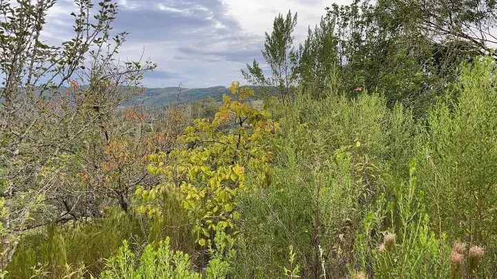 Country home for sale of 6 acres in Santo Antônio da Patrulha, RS, Brazil
