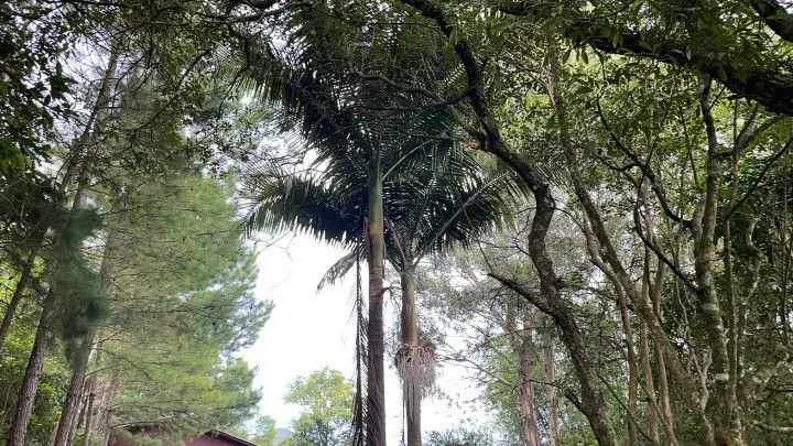 Country home for sale of 6 acres in Santo Antônio da Patrulha, RS, Brazil