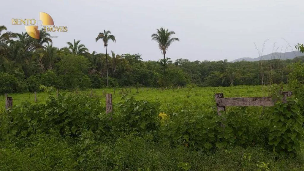 Fazenda à venda de 419 ha em Nobres, MT, Brasil