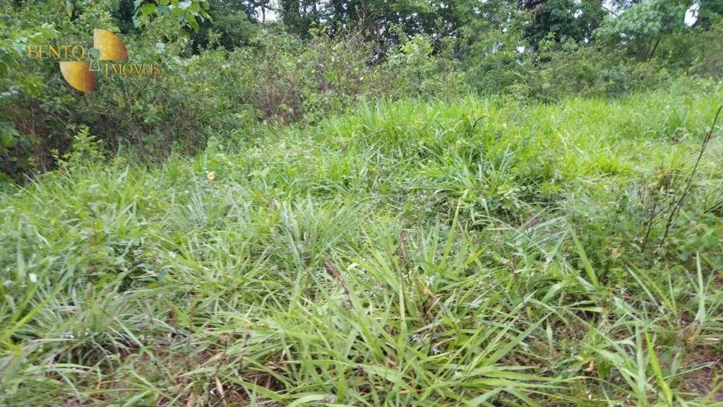 Fazenda à venda de 419 ha em Nobres, MT, Brasil