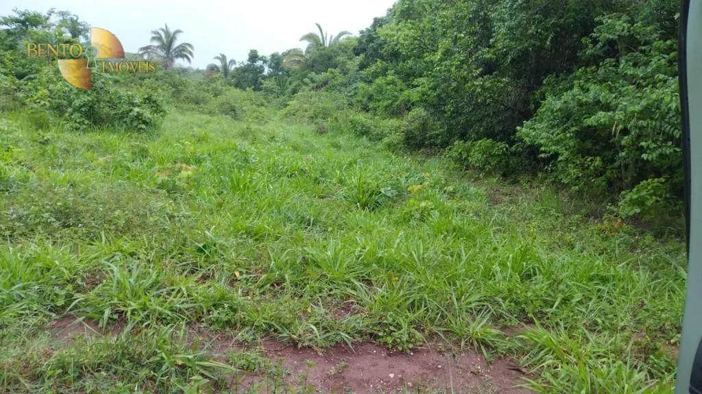 Fazenda à venda de 419 ha em Nobres, MT, Brasil