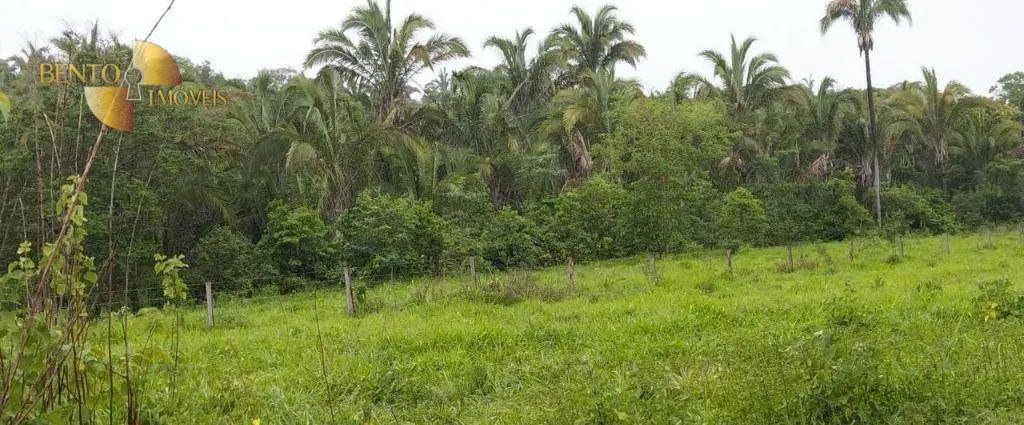 Fazenda à venda de 419 ha em Nobres, MT, Brasil