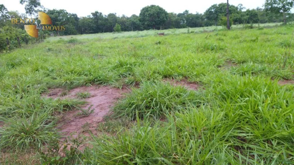 Fazenda à venda de 419 ha em Nobres, MT, Brasil