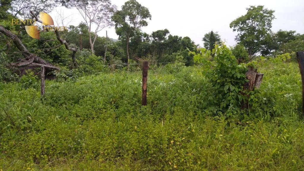 Fazenda à venda de 419 ha em Nobres, MT, Brasil