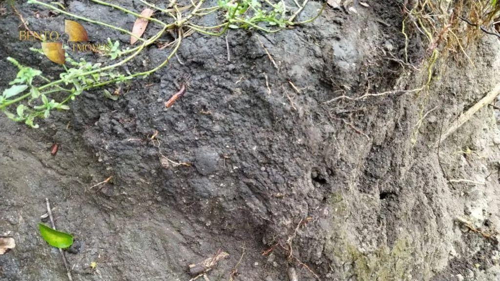 Fazenda à venda de 419 ha em Nobres, MT, Brasil