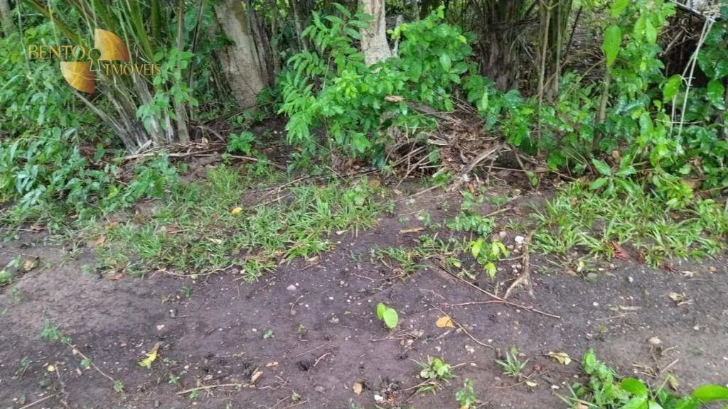 Fazenda à venda de 419 ha em Nobres, MT, Brasil