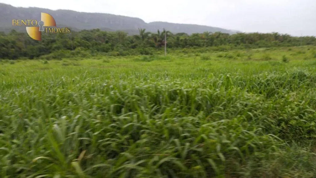Fazenda à venda de 419 ha em Nobres, MT, Brasil