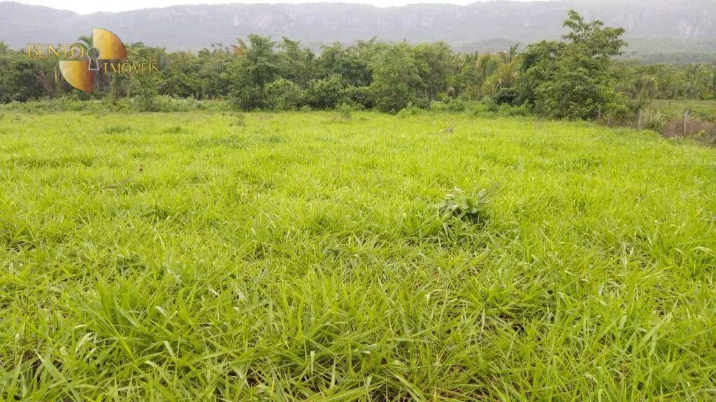 Fazenda à venda de 419 ha em Nobres, MT, Brasil
