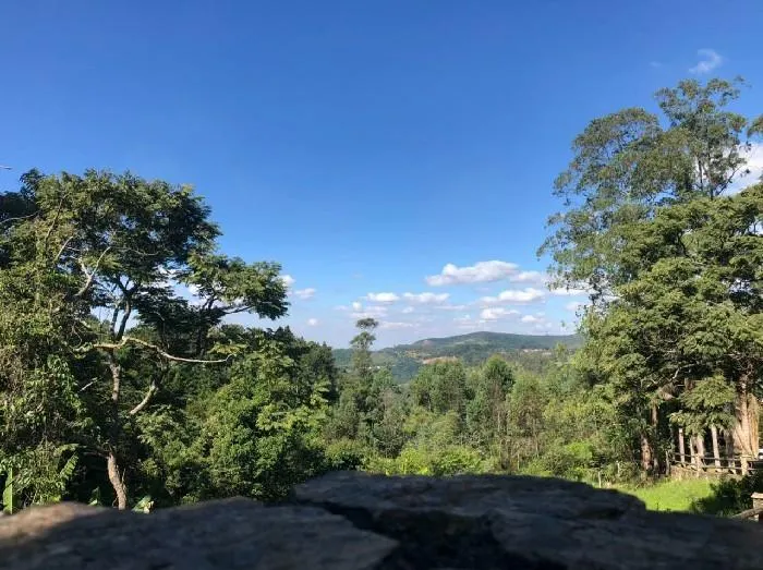 Small farm for sale of 5 acres in São Roque, SP, Brazil