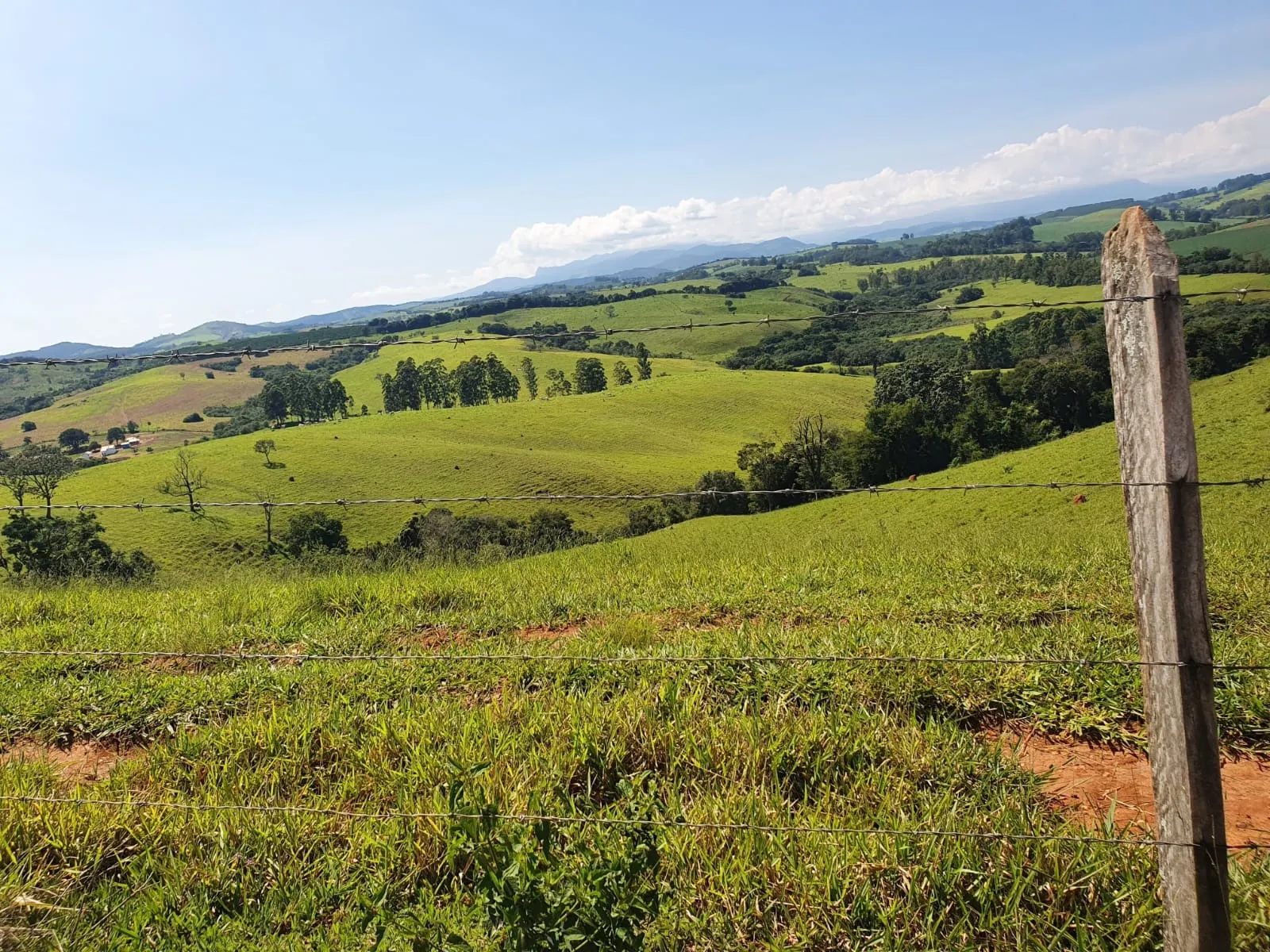 Fazenda à venda de 248 ha em Cruzília, MG, Brasil