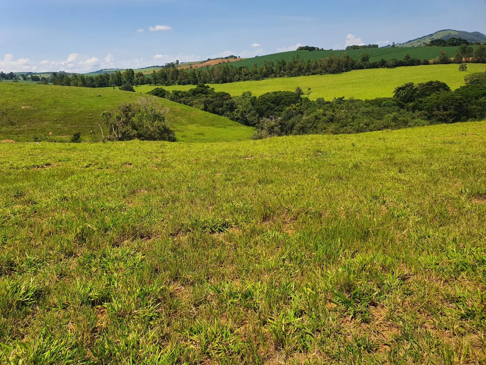 Fazenda à venda de 248 ha em Cruzília, MG, Brasil