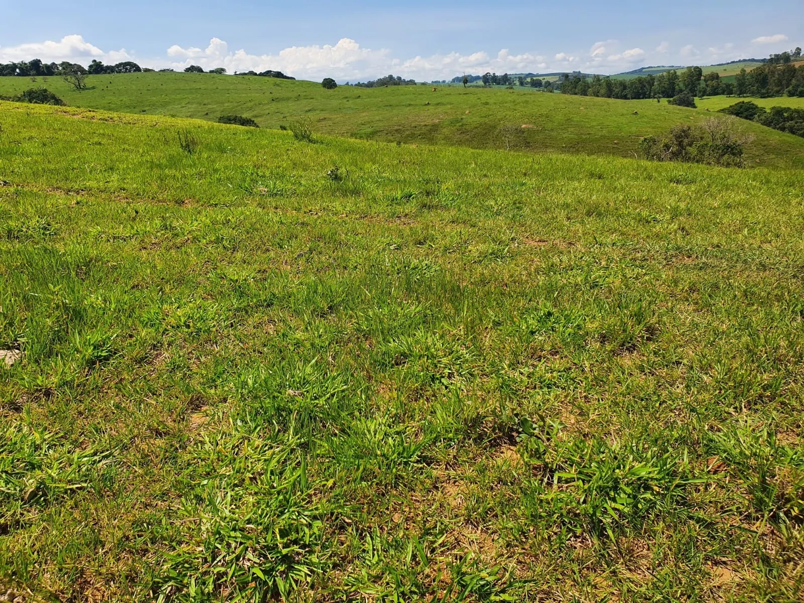Fazenda à venda de 248 ha em Cruzília, MG, Brasil