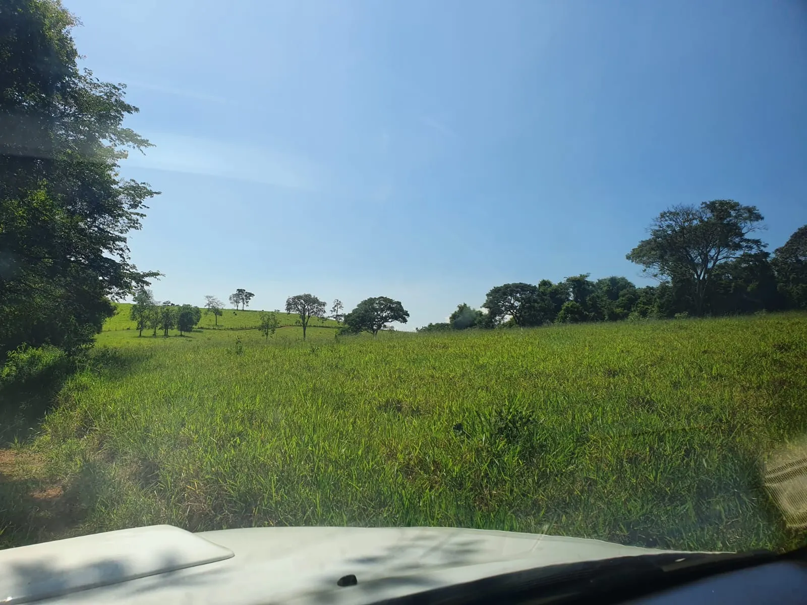 Fazenda à venda de 248 ha em Cruzília, MG, Brasil
