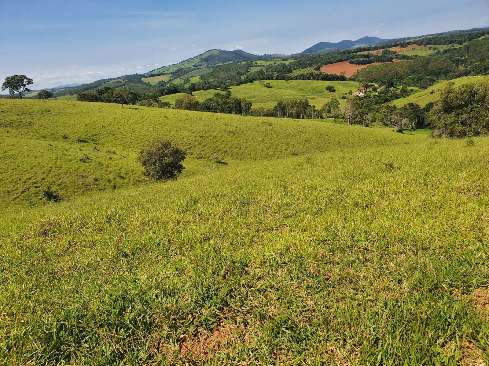 Fazenda à venda de 248 ha em Cruzília, MG, Brasil