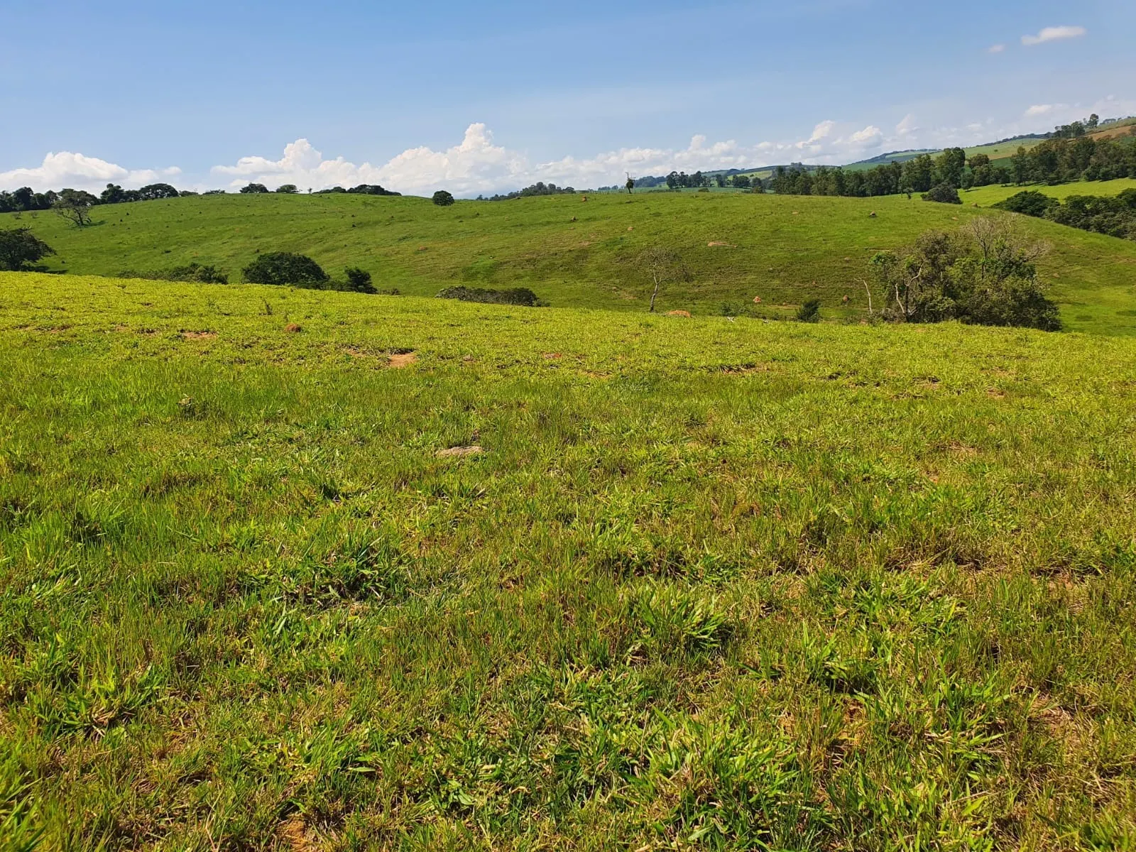 Fazenda à venda de 248 ha em Cruzília, MG, Brasil