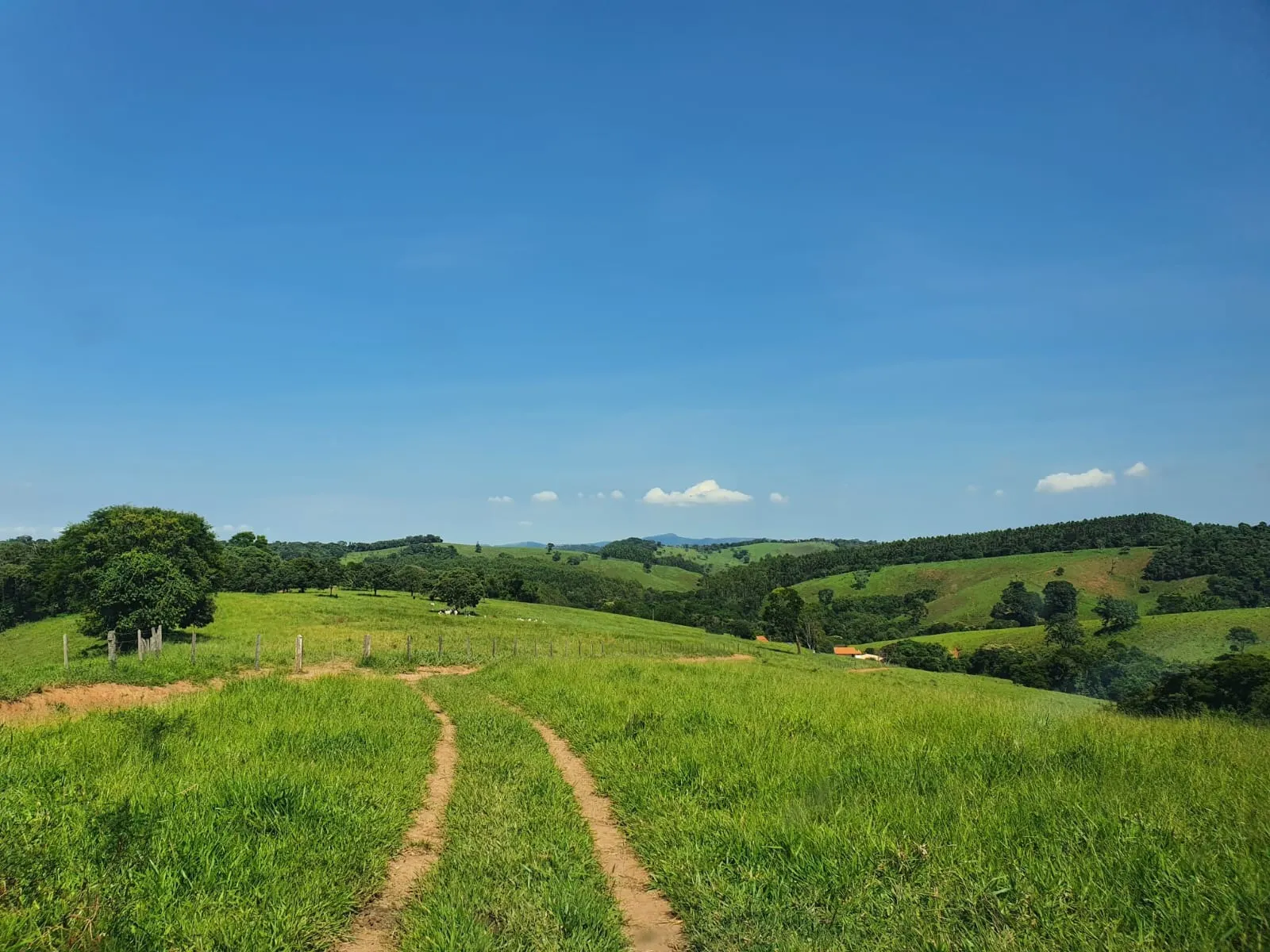 Fazenda à venda de 248 ha em Cruzília, MG, Brasil