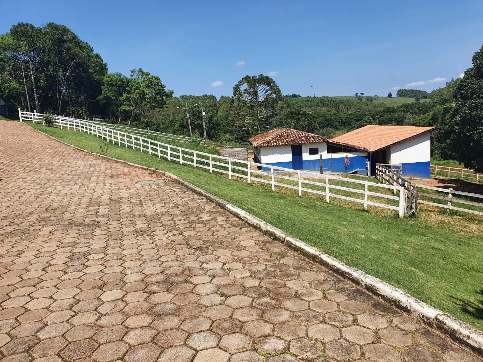 Fazenda à venda de 248 ha em Cruzília, MG, Brasil