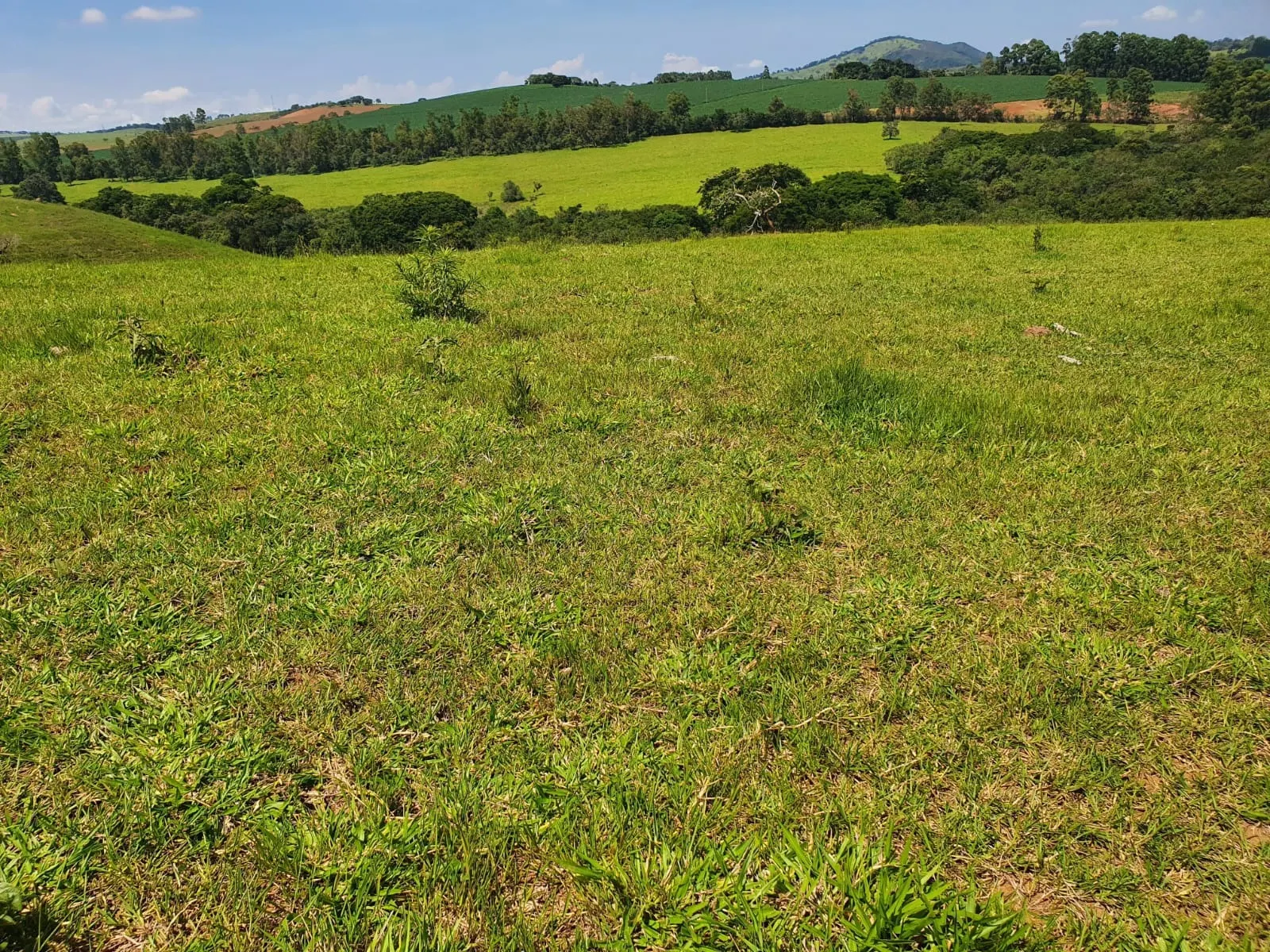 Fazenda à venda de 248 ha em Cruzília, MG, Brasil