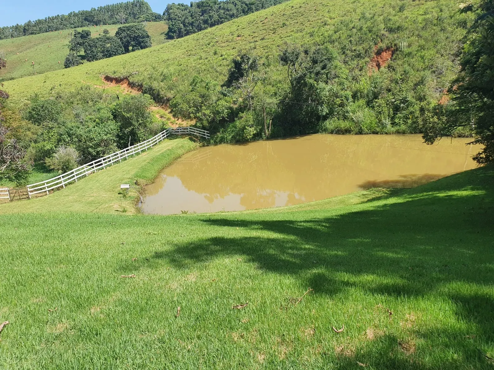 Fazenda à venda de 248 ha em Cruzília, MG, Brasil
