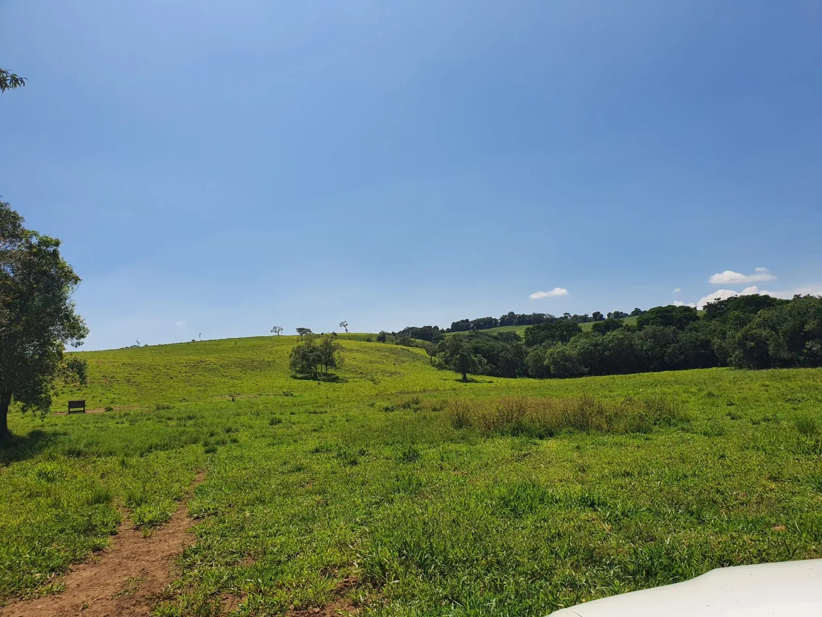 Fazenda à venda de 248 ha em Cruzília, MG, Brasil