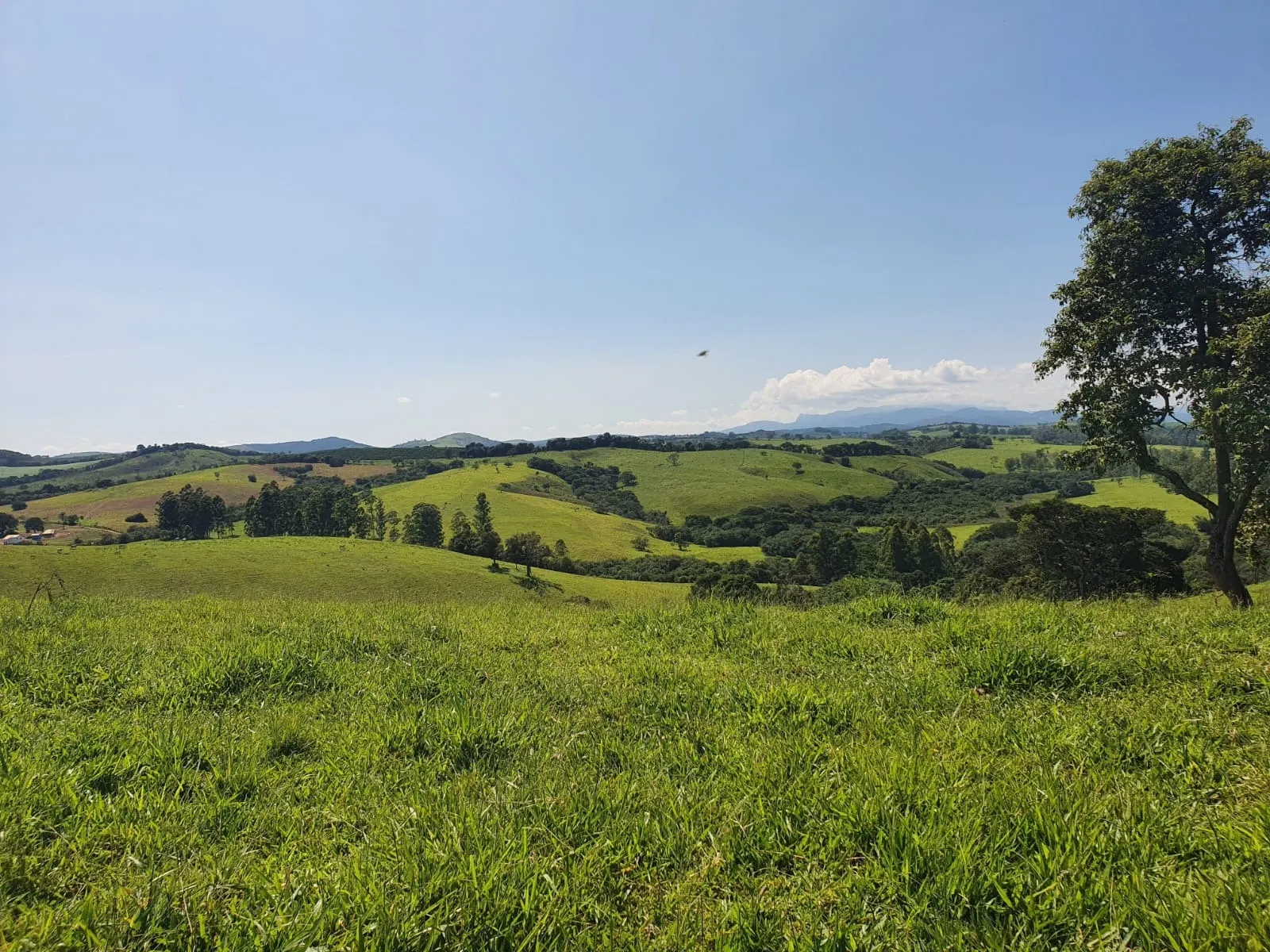 Fazenda à venda de 248 ha em Cruzília, MG, Brasil
