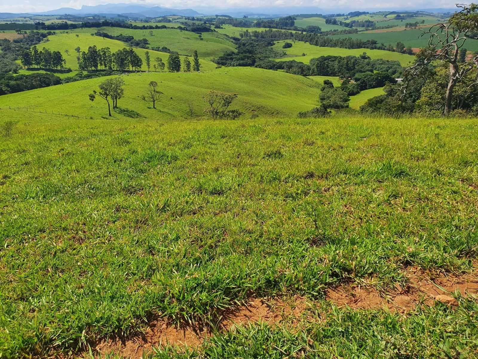 Fazenda à venda de 248 ha em Cruzília, MG, Brasil