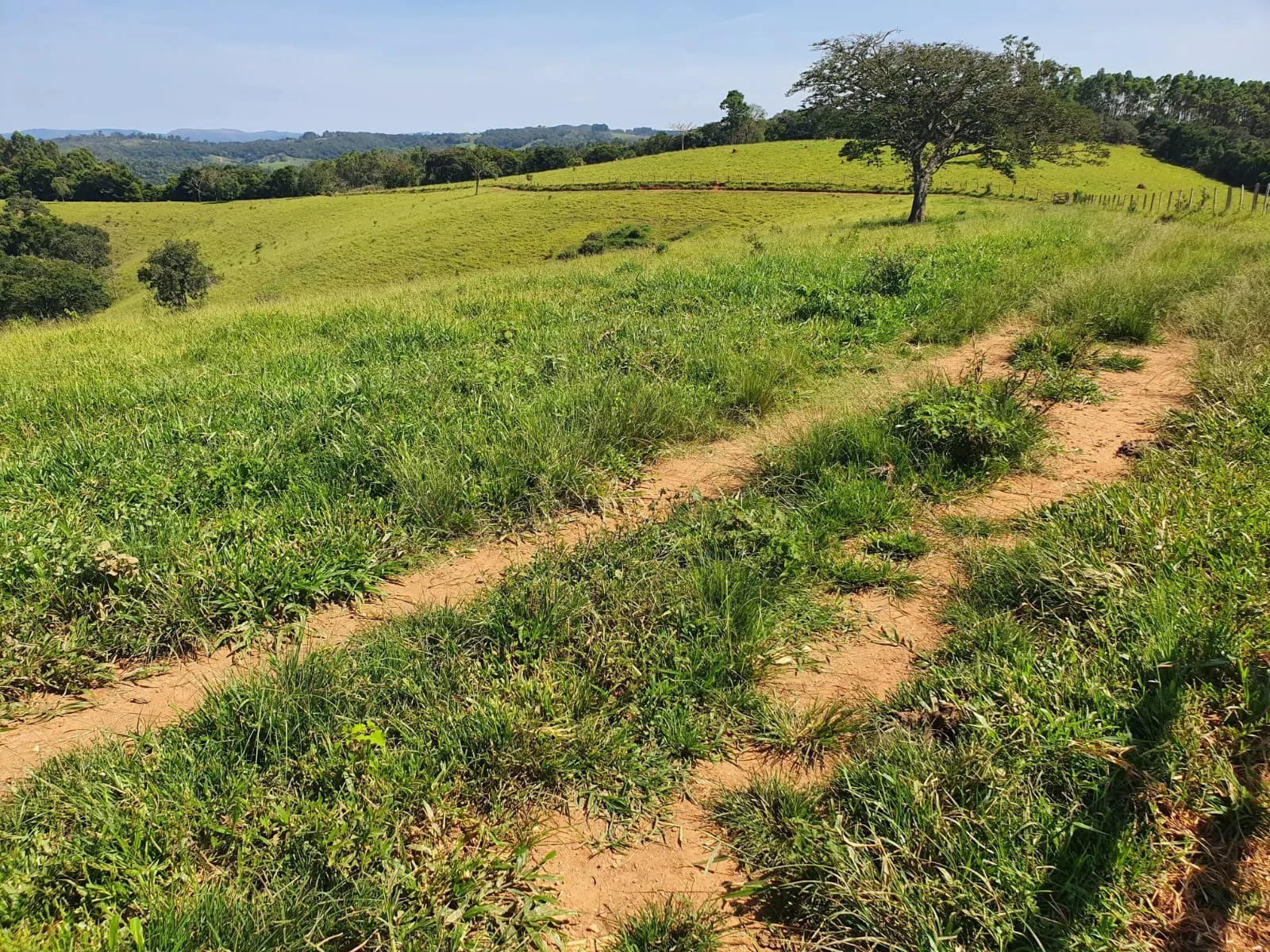 Fazenda à venda de 248 ha em Cruzília, MG, Brasil