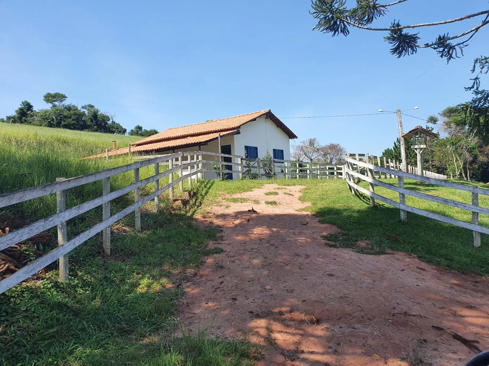 Fazenda à venda de 248 ha em Cruzília, MG, Brasil