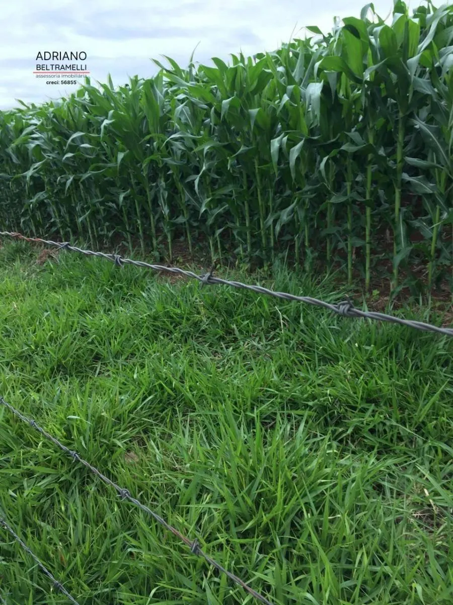 Fazenda à venda de 101.000 ha em Tuiuti, SP, Brasil