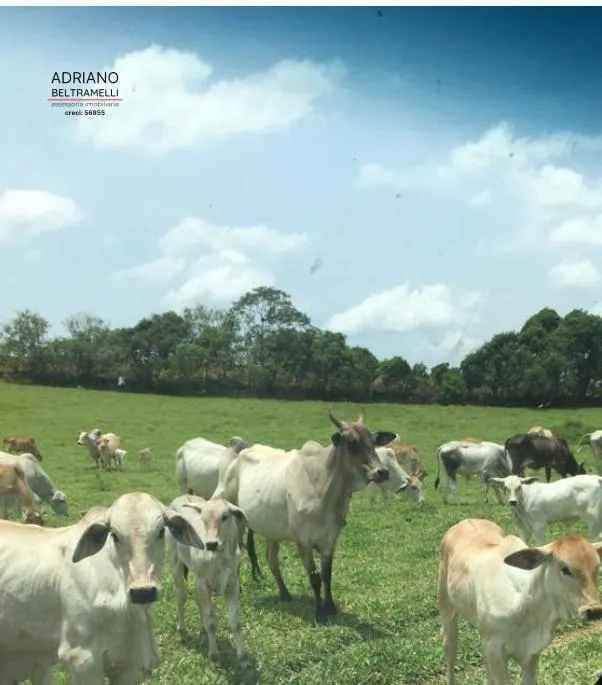 Fazenda à venda de 101.000 ha em Tuiuti, SP, Brasil