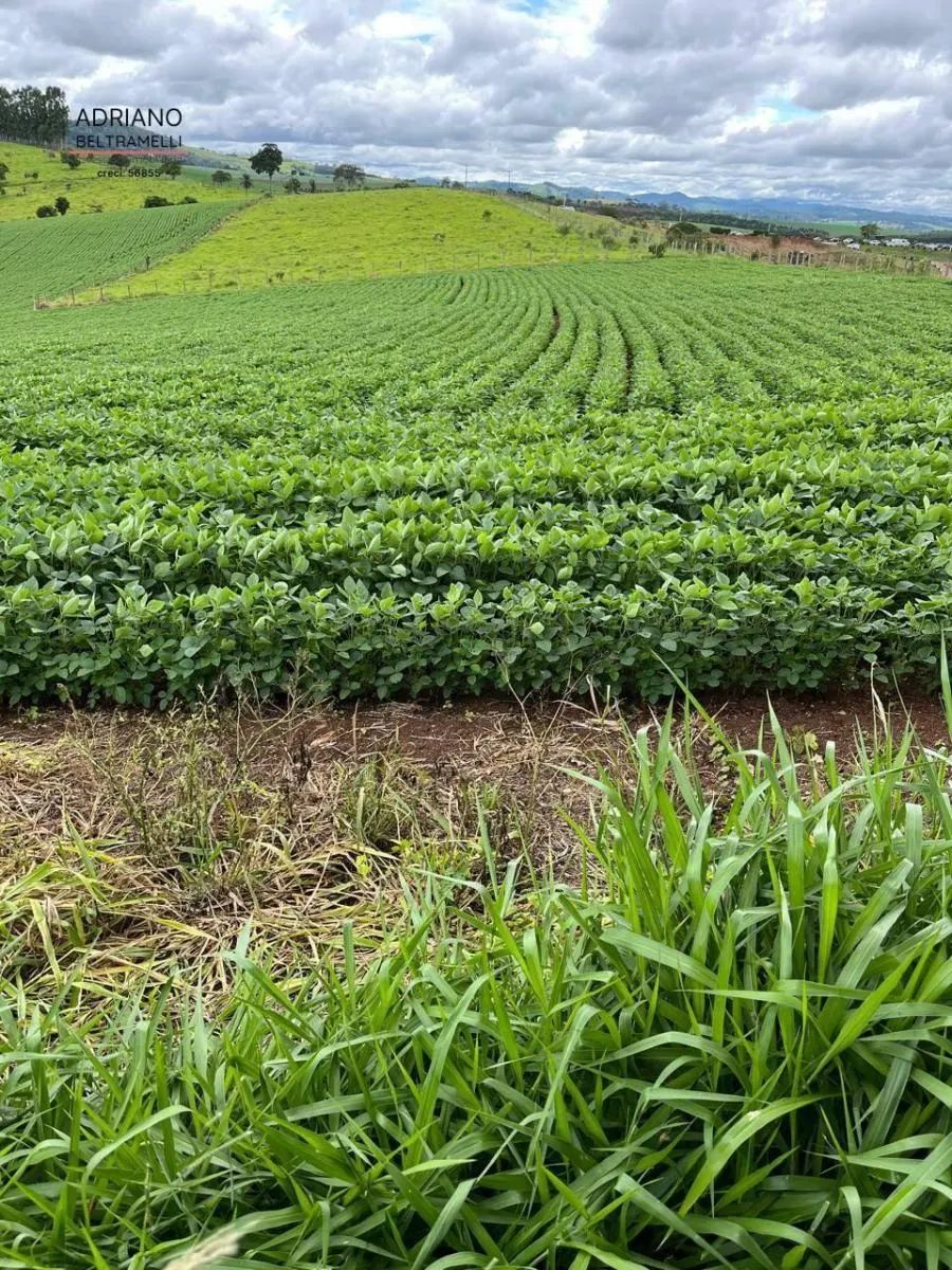 Fazenda à venda de 101.000 ha em Tuiuti, SP, Brasil