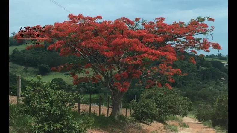 Fazenda à venda de 101.000 ha em Tuiuti, SP, Brasil