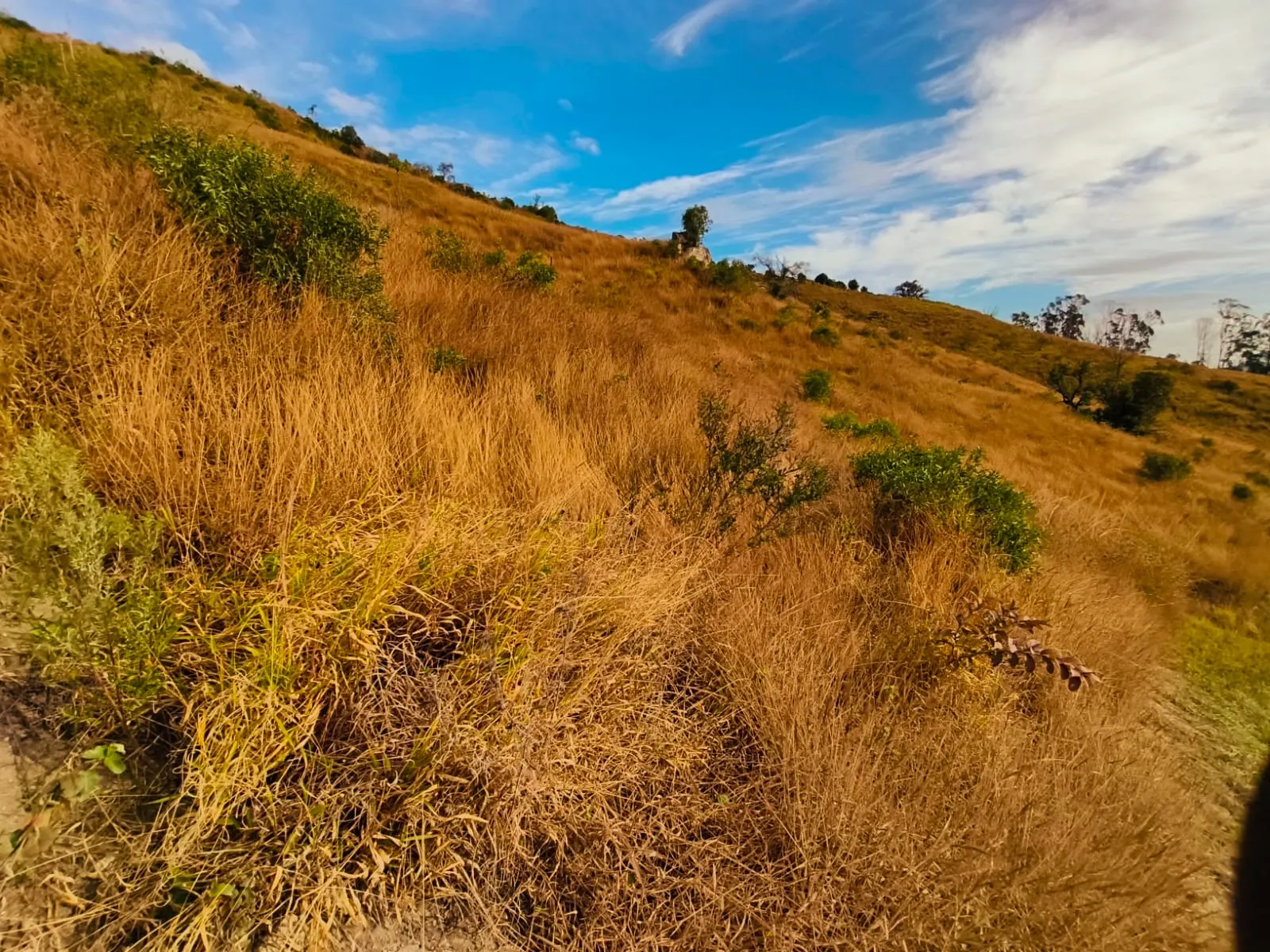 Plot for sale of 7 acres in Cunha, SP, Brazil