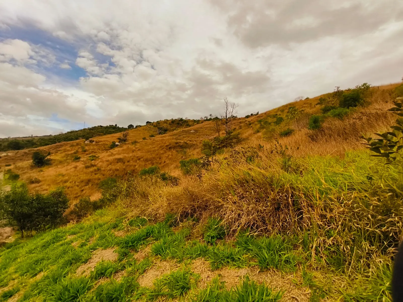 Plot for sale of 7 acres in Cunha, SP, Brazil