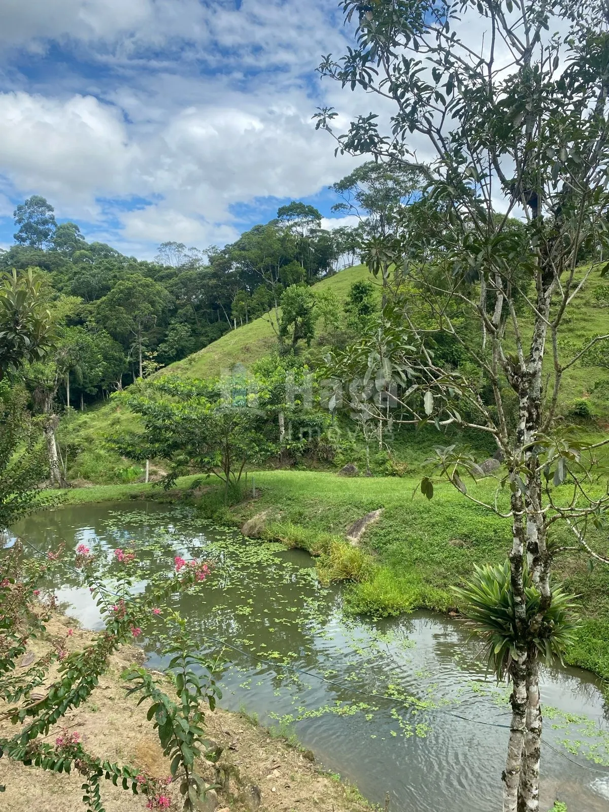 Fazenda à venda de 19 ha em Canelinha, SC, Brasil