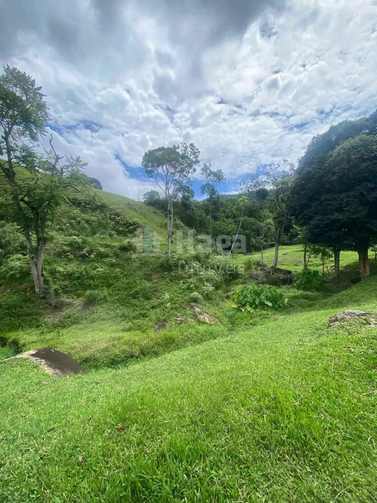 Fazenda à venda de 19 ha em Canelinha, SC, Brasil