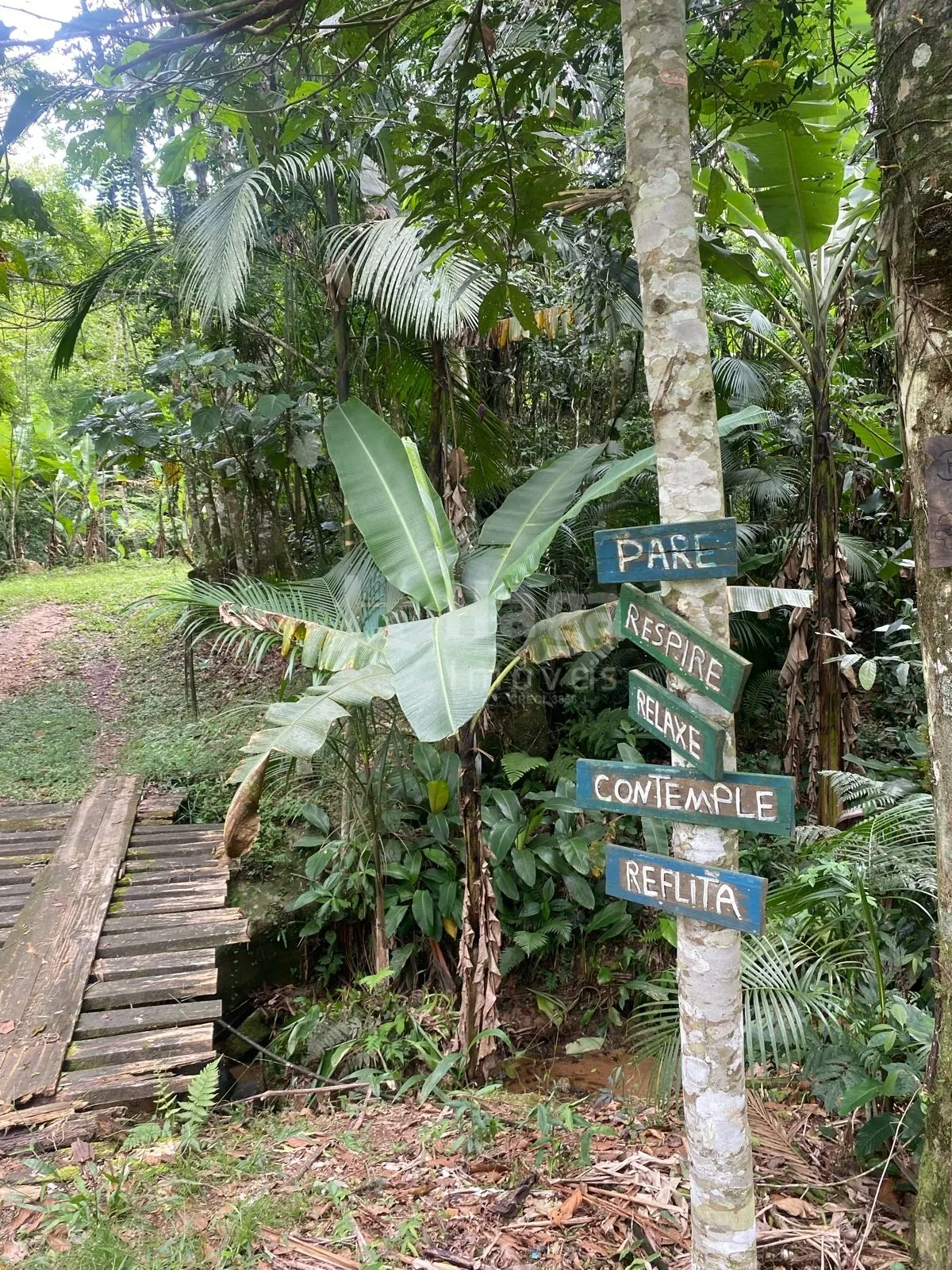 Fazenda à venda de 19 ha em Canelinha, SC, Brasil