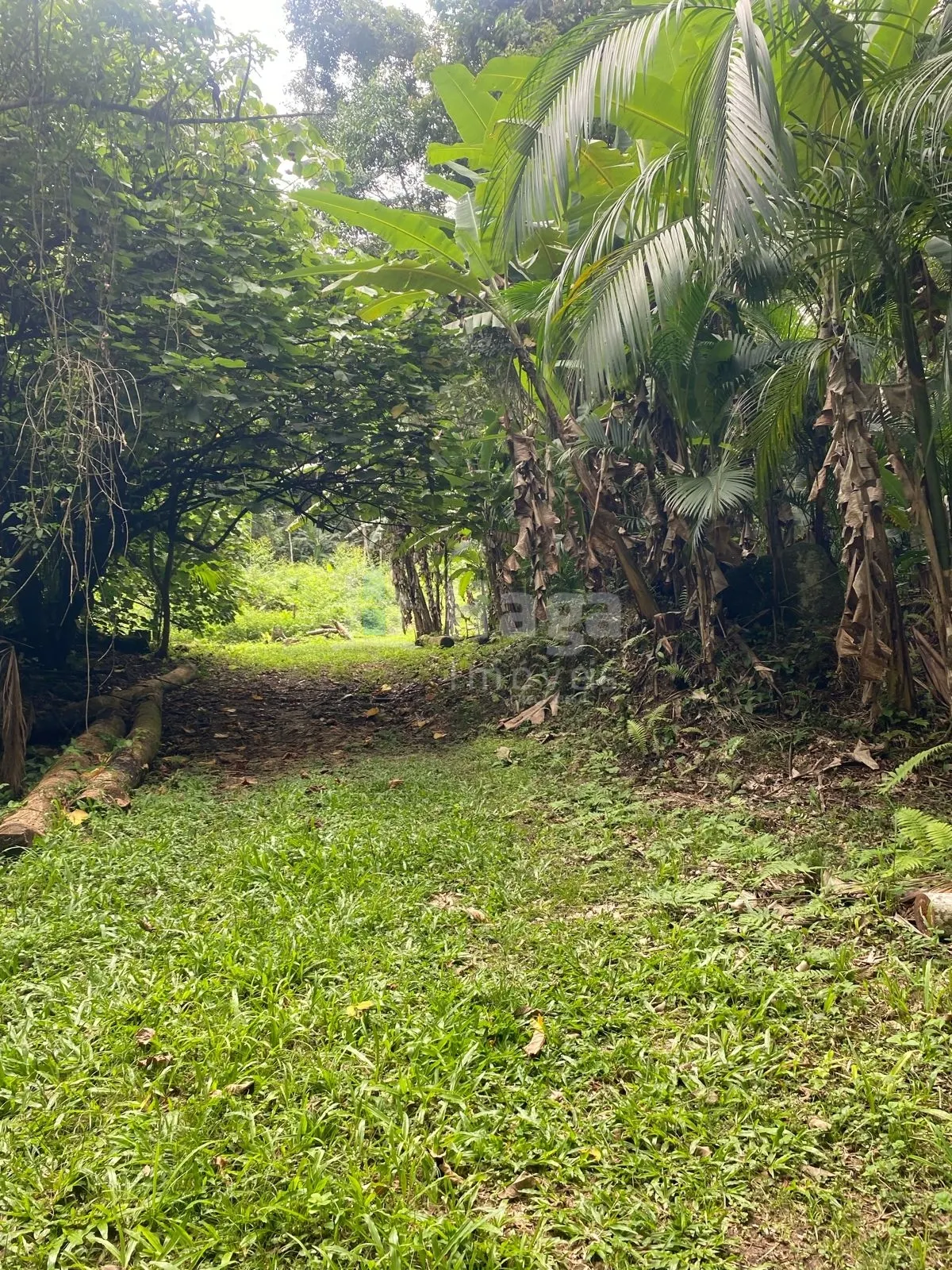 Fazenda à venda de 19 ha em Canelinha, SC, Brasil