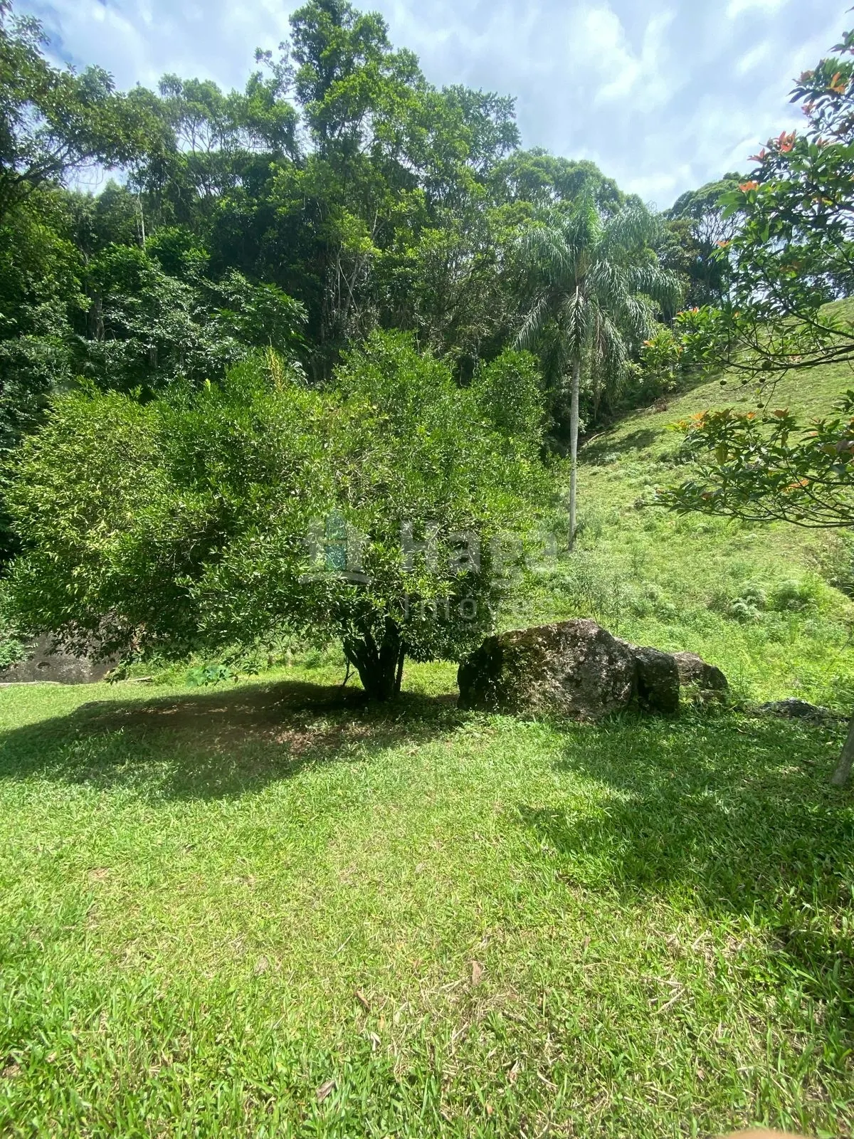 Fazenda à venda de 19 ha em Canelinha, SC, Brasil