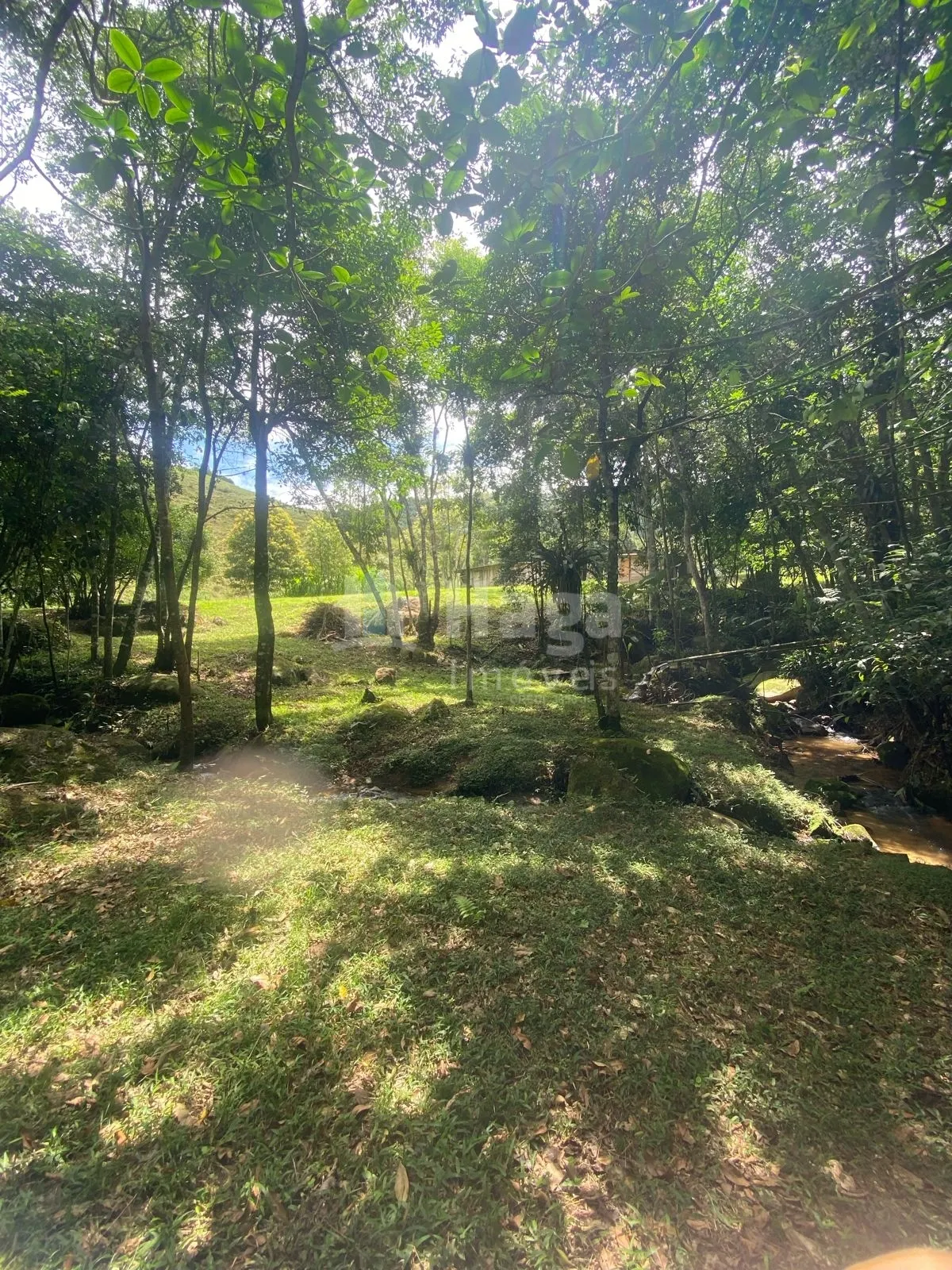 Fazenda à venda de 19 ha em Canelinha, SC, Brasil