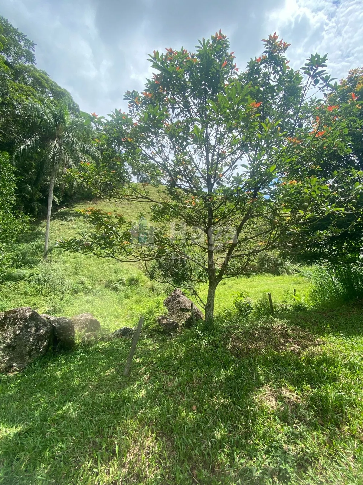 Fazenda à venda de 19 ha em Canelinha, SC, Brasil