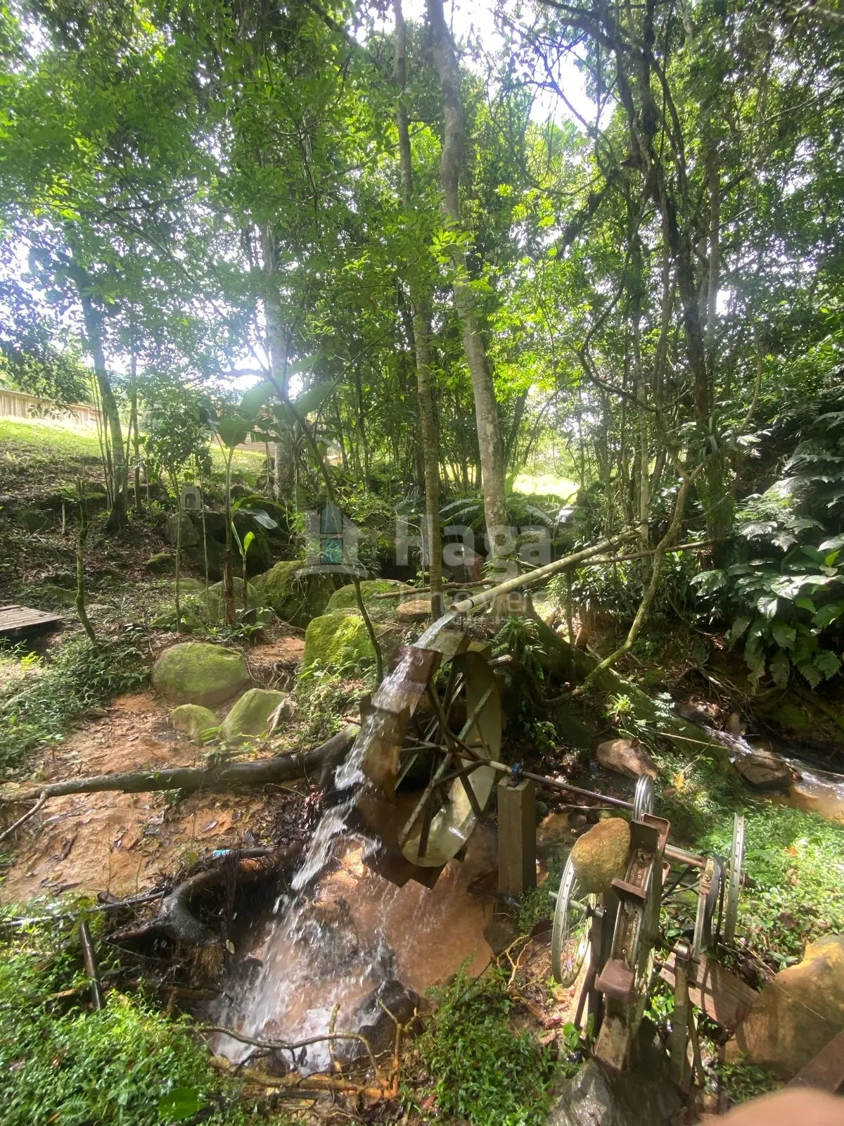 Fazenda à venda de 19 ha em Canelinha, SC, Brasil