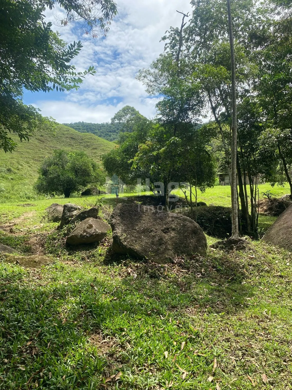 Fazenda à venda de 19 ha em Canelinha, SC, Brasil