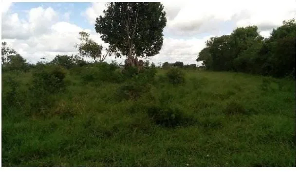 Plot for sale of 3 acres in Amélia Rodrigues, BA, Brazil
